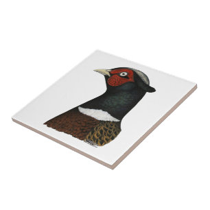 Ringneck Pheasant Head Tile