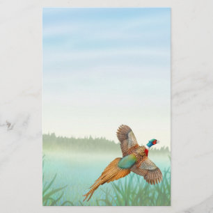 Ringneck Pheasant in Reeds Stationery