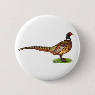 Ringneck Pheasant Rooster 2 Inch Round Button