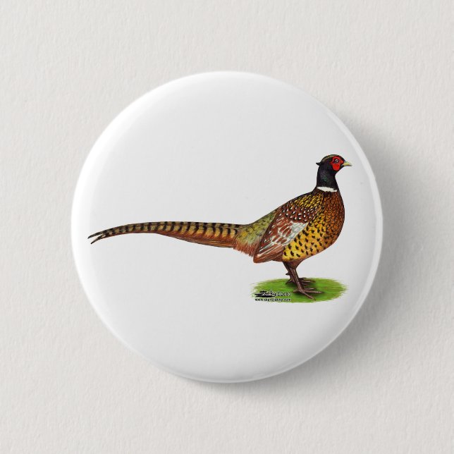Ringneck Pheasant Rooster 2 Inch Round Button (Front)