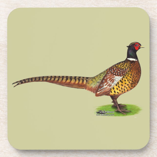 Ringneck Pheasant Rooster Coaster (Front)