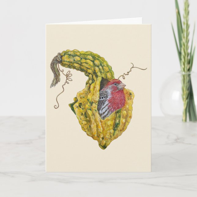Ringo the house finch greeting card (Front)