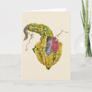 Ringo the house finch greeting card