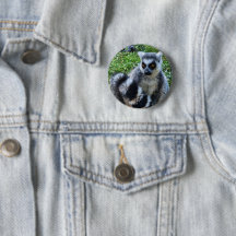 Ringtail Maki Button - Unique Animal Print