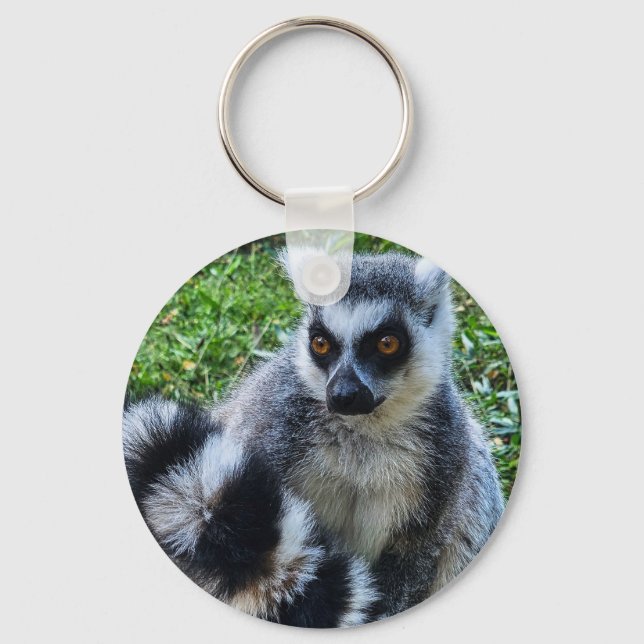 Ringtail Maki Button - Unique Animal Print Keychain (Front)