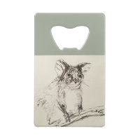 Ringtail Possum Australia