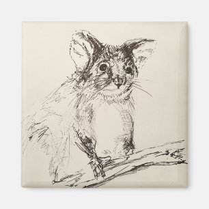Ringtail Possum Australia Magnet