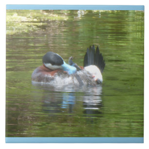 Ringtaling Duck Cust. Border Colour Ceramic Tile