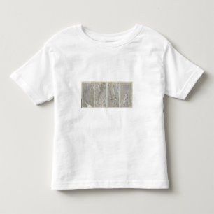 Rio Colorado of the West Toddler T-shirt