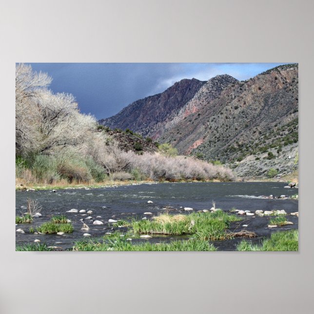 Rio Grande River, New Mexico Poster (Front)