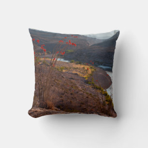 Rio Grande Running Through Chihuahuan Desert Throw Pillow