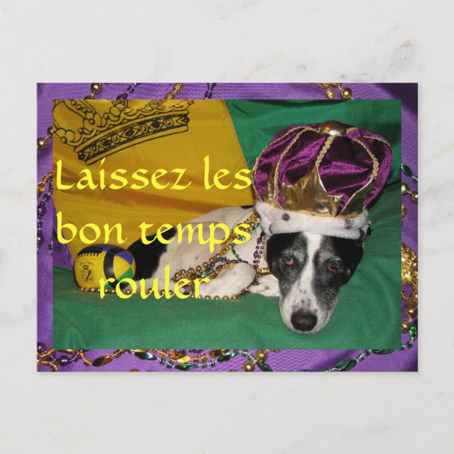 Rio's Mardi Gras Postcard (Front)