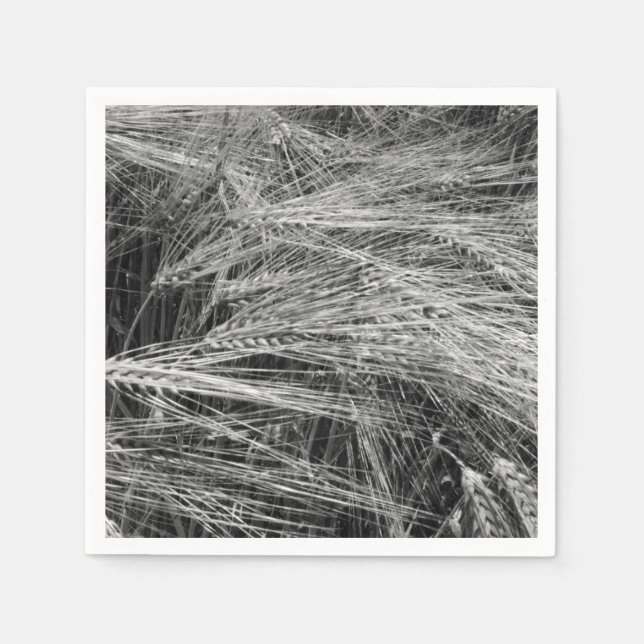 Ripe barley ears (Hordeum vulgare)   Napkin (Front)