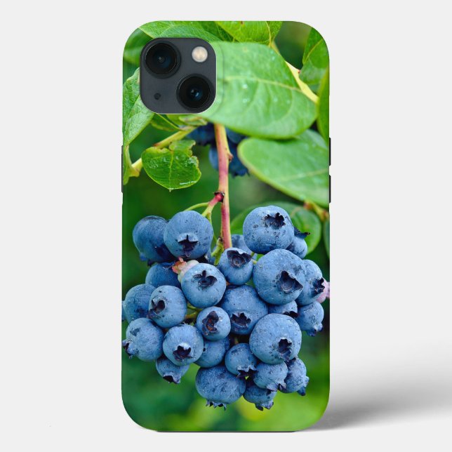 Ripe Blueberries On Bush Case-Mate iPhone Case (Back)