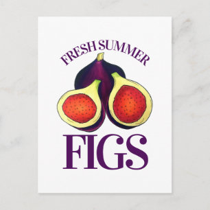 Ripe Fresh Summer Figs Fig Tree Food Postcard