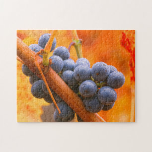 Ripe Grape In Vineyard Jigsaw Puzzle