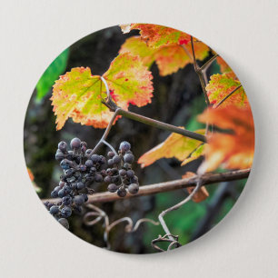 Ripe Isabella grape 4 Inch Round Button