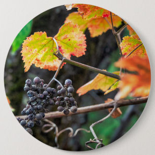 Ripe Isabella grape 6 Inch Round Button
