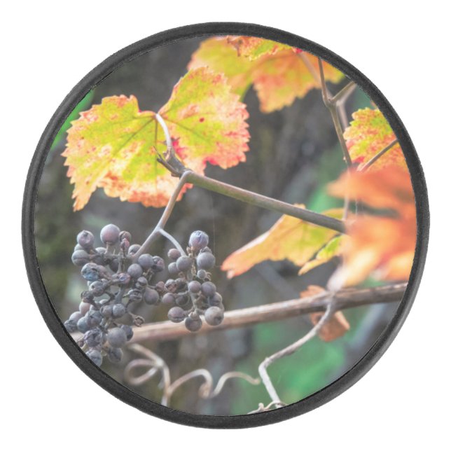 Ripe Isabella grape Hockey Puck (Front)