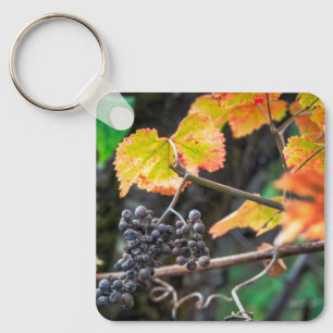 Ripe Isabella grape Keychain