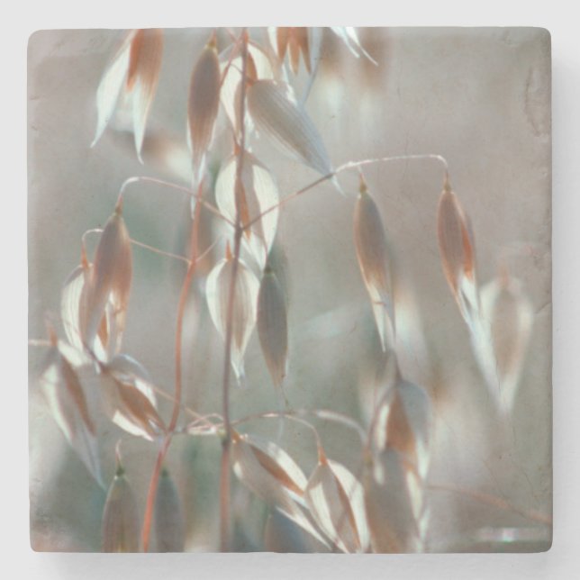 Ripe Oats (Avena Sativa) Close Up. Ceres, Boland Stone Coaster (Front)