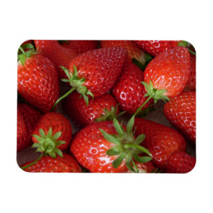 Ripe Strawberries Magnet