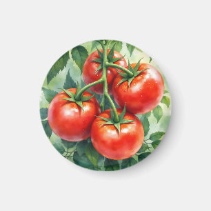 Ripe Tomato Vine Watercolor Fresh Magnet