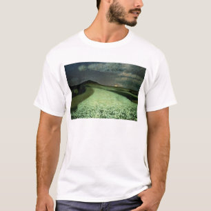 Ripe Wheatfields T-Shirt
