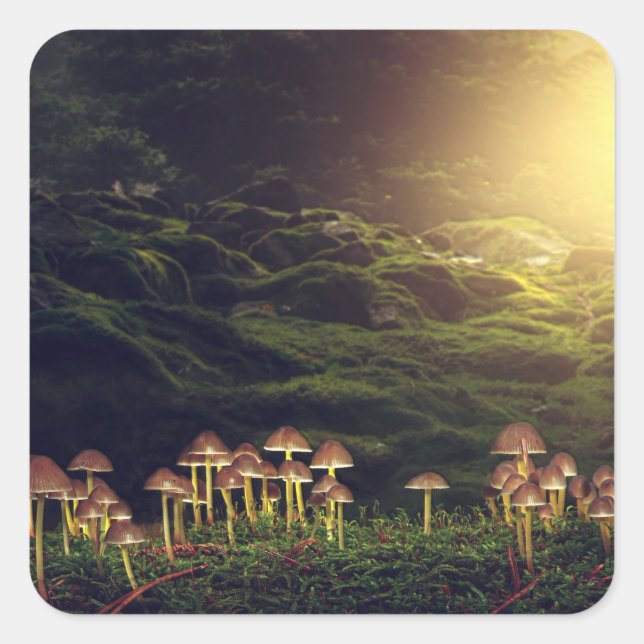 Ripe Wild Mushrooms in the Forest Square Sticker (Front)