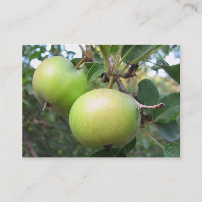 Ripening Apples ATC Business Card (Front)