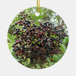 Ripening Elderberries Ornament