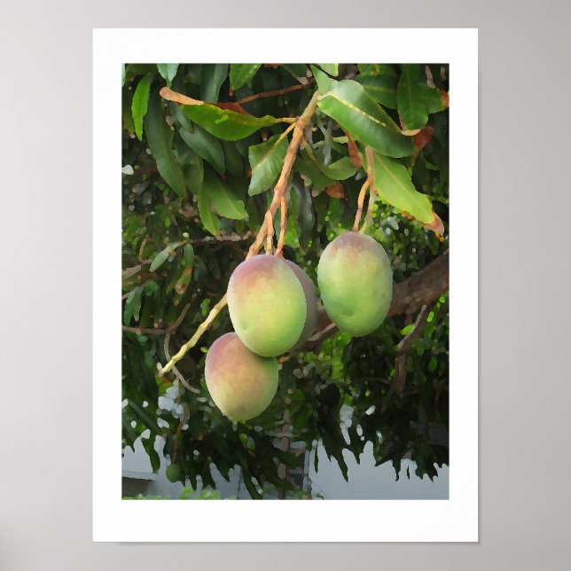 Ripening Poster (Front)