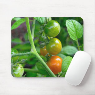 Ripening Stages of Cherry Tomatoes Mouse Pad