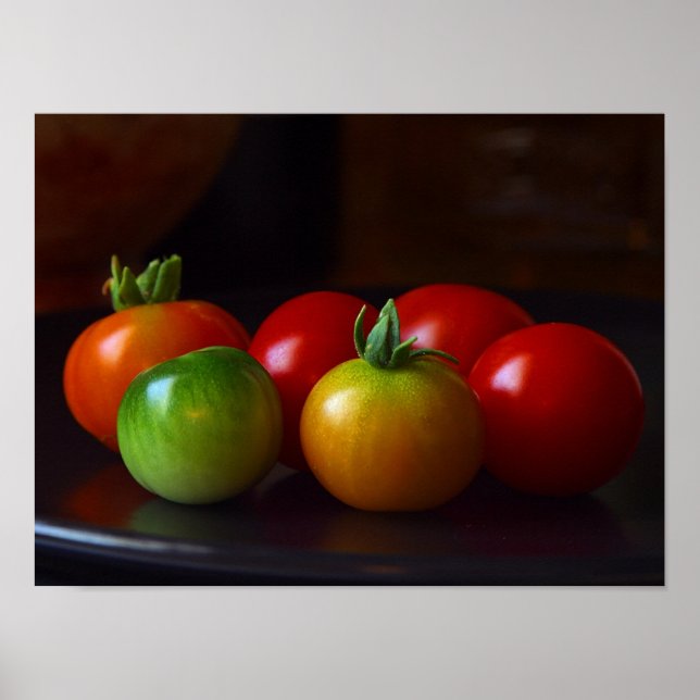 ripening tomatoes  posterl FROM 14.95 Poster (Front)