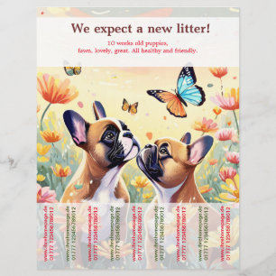 Ripp Off French Bulldog Puppies Flyer