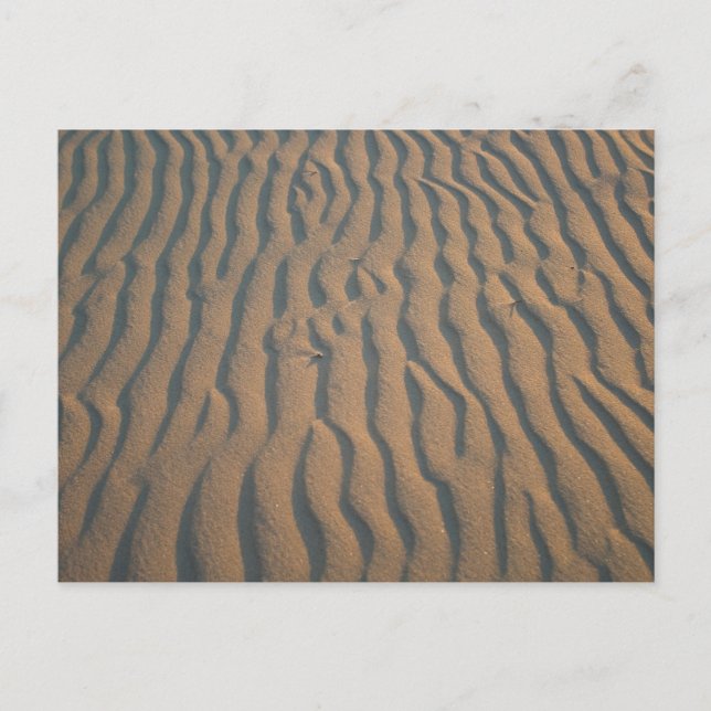 Ripples at Silver Lake Dunes, Michigan Postcard (Front)