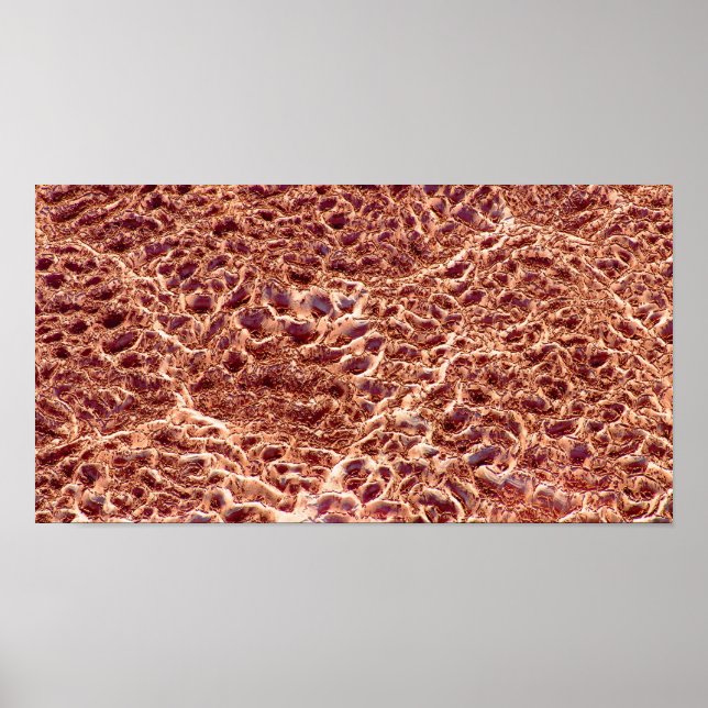 Ripples on Sand Bar with Dried Mud III - Colour Poster (Front)