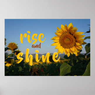 rise and shine sunflower field photo  poster