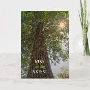 RISE Inspirational Photo of a Tree to the Sky Card