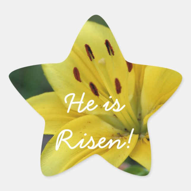 Risen Lily Star Sticker (Front)