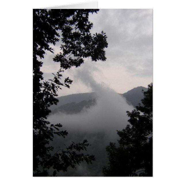 Rising Fog (Front)