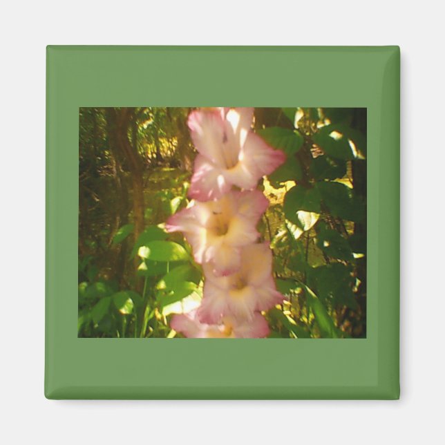 Rising Pink Flower Blooms Magnet (Front)