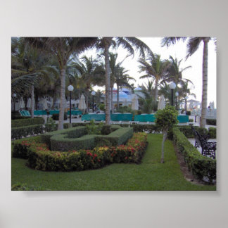 Riu Garden Poster