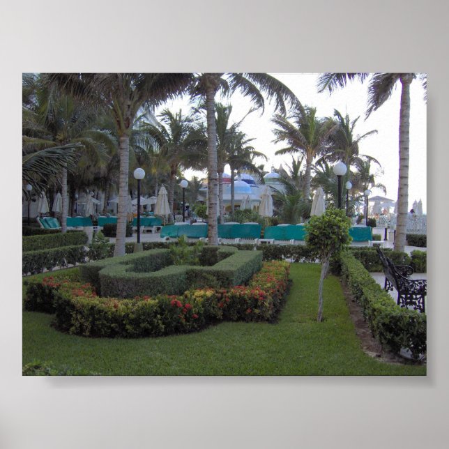Riu Garden Poster (Front)