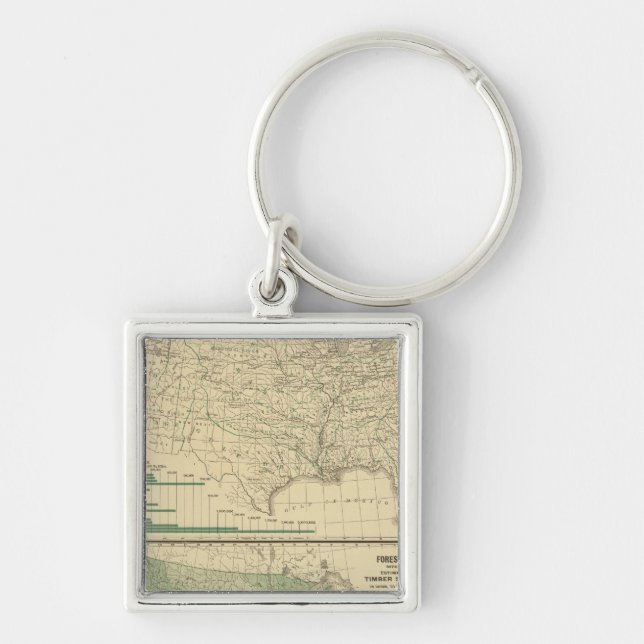 River basins, Forestry Keychain (Front)