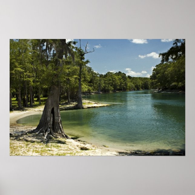 River Beach, Suwannee River, Florida Print (Front)
