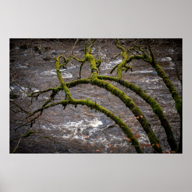 River Bran - Dunkeld Hermitage Poster (Front)