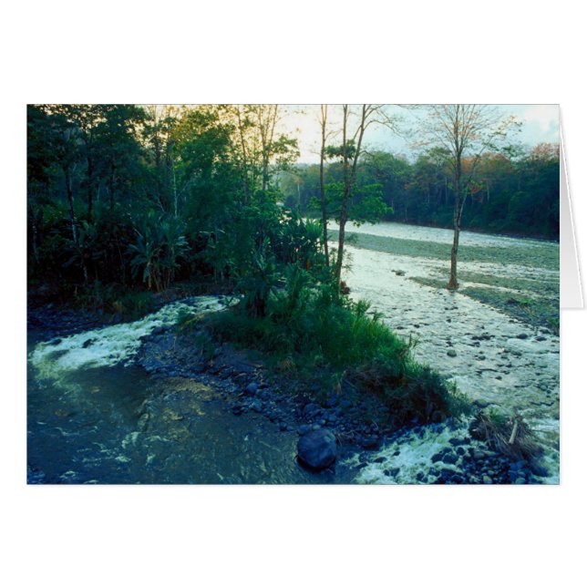River/ Costa Rica (Front Horizontal)