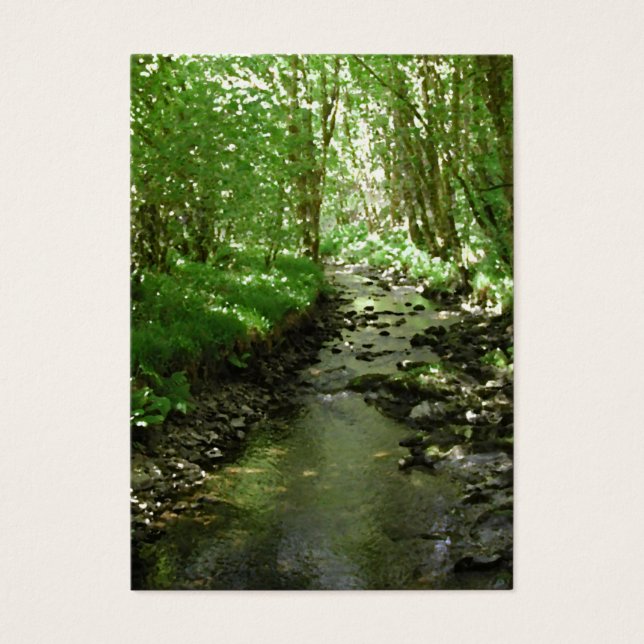 River flowing through woodland. (Front)