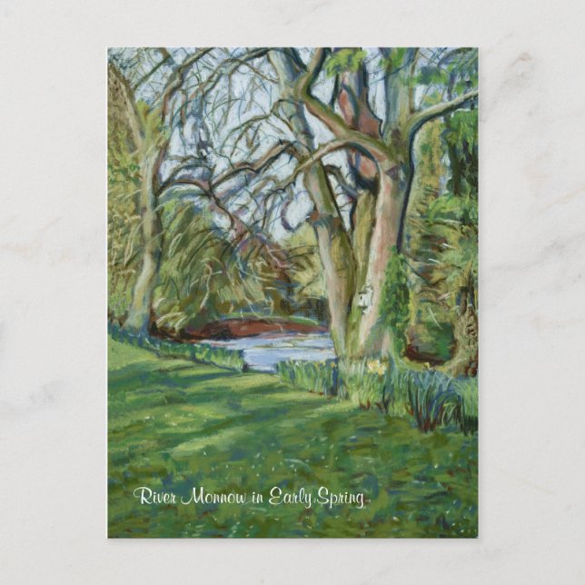 River Monnow at Allt-yr-Ynys in Early Spring Postcard (Front)